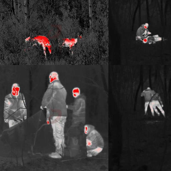 Jumelles vision thermique — Portée 500 m, pour la chasse (375 g)