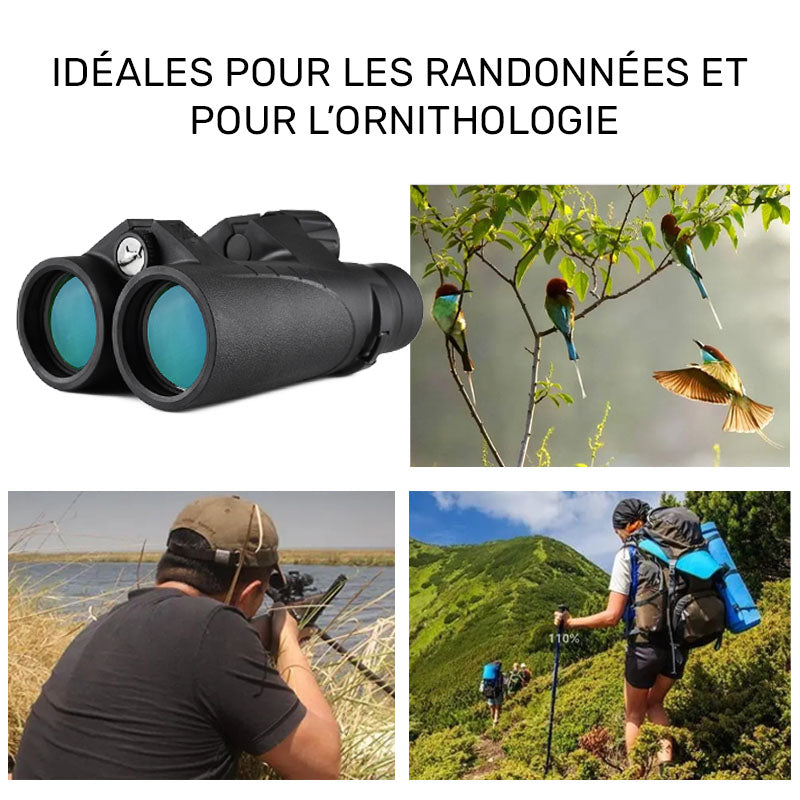 Jumelles 8x42 — Étanches pour l'ornithologie
