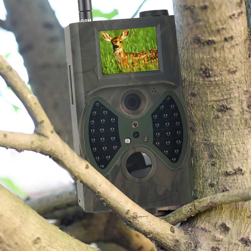 Piège photographique — 12 MP GSM MMS pour la surveillance de la faune