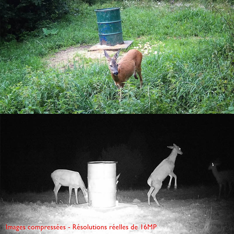 Piège photographique — 12 MP GSM MMS pour la surveillance de la faune (510 g)