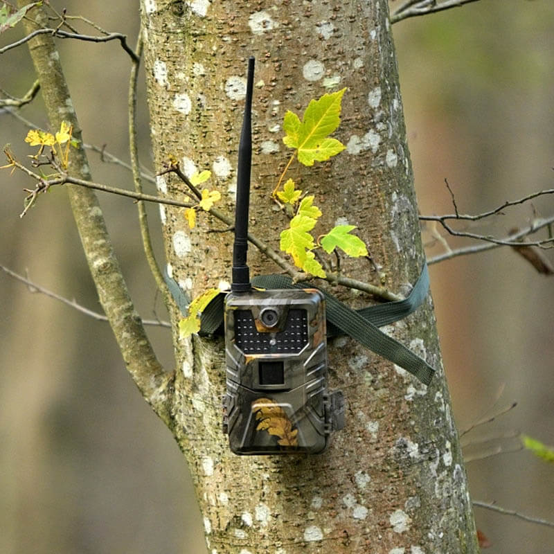 Piège photographique — 12 MP GSM MMS pour la surveillance de la faune (510 g)